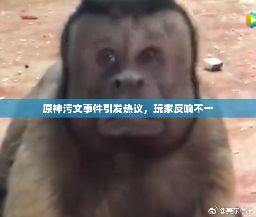 原神污文事件引发热议，玩家反响不一
