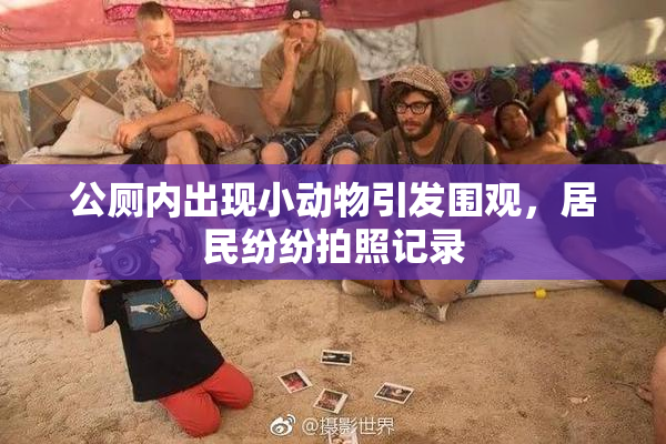 公厕内出现小动物引发围观，居民纷纷拍照记录