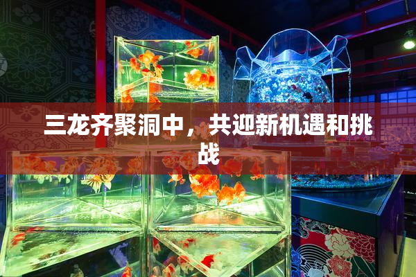 三龙齐聚洞中，共迎新机遇和挑战