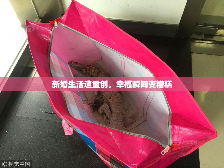 新婚生活遭重创，幸福瞬间变糟糕