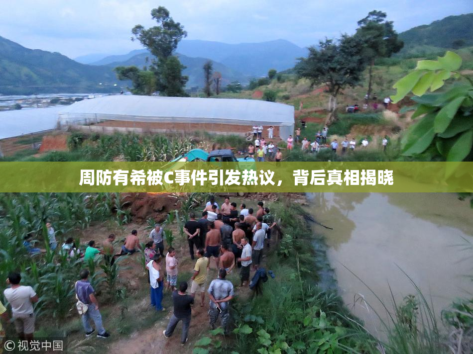 周防有希被C事件引发热议，背后真相揭晓