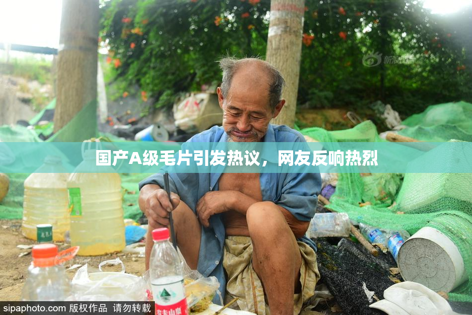 国产A级毛片引发热议，网友反响热烈
