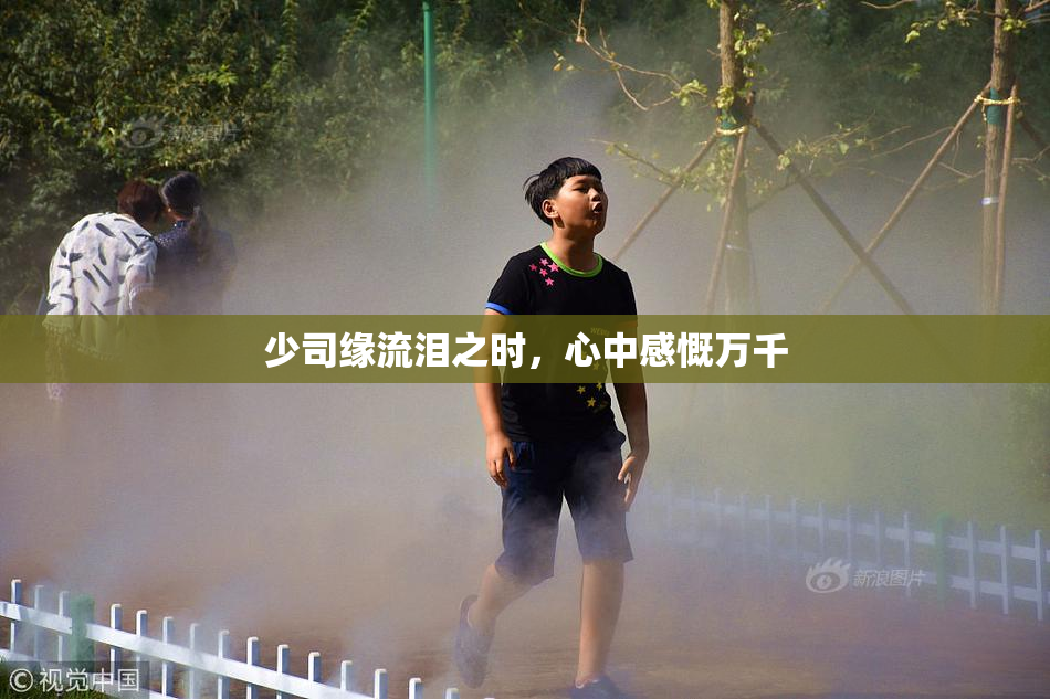 少司缘流泪之时，心中感慨万千