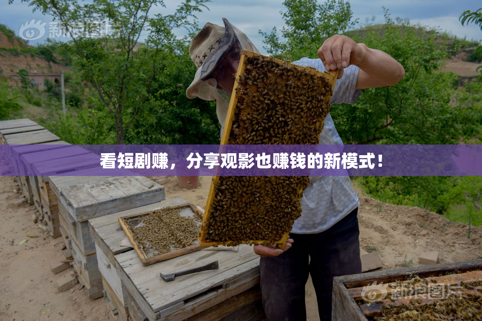 看短剧赚，分享观影也赚钱的新模式！