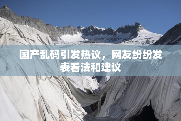 国产乱码引发热议，网友纷纷发表看法和建议