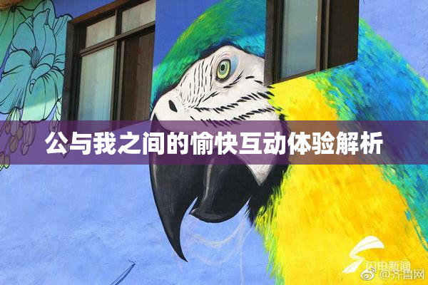 公与我之间的愉快互动体验解析