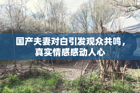 国产夫妻对白引发观众共鸣，真实情感感动人心