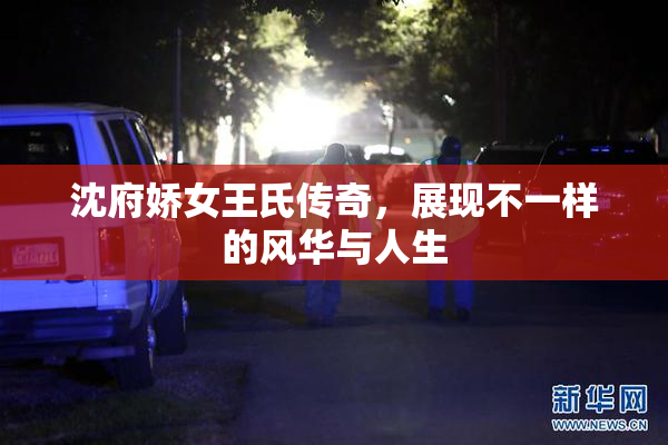 沈府娇女王氏传奇，展现不一样的风华与人生