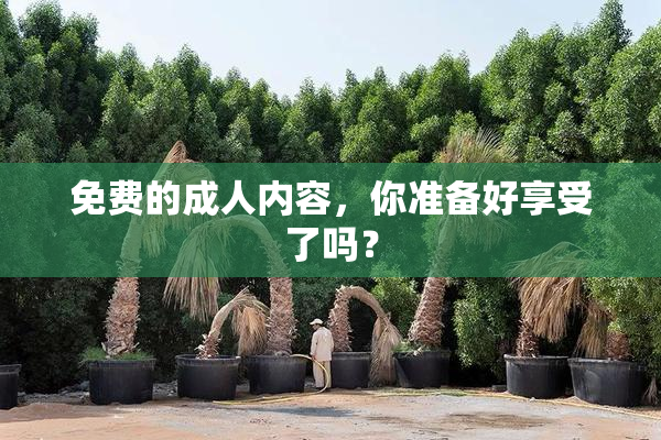 免费的成人内容，你准备好享受了吗？