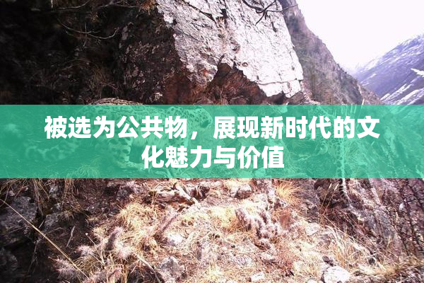 被选为公共物，展现新时代的文化魅力与价值
