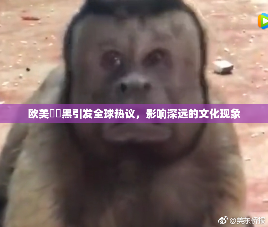 欧美❌‌黑引发全球热议，影响深远的文化现象