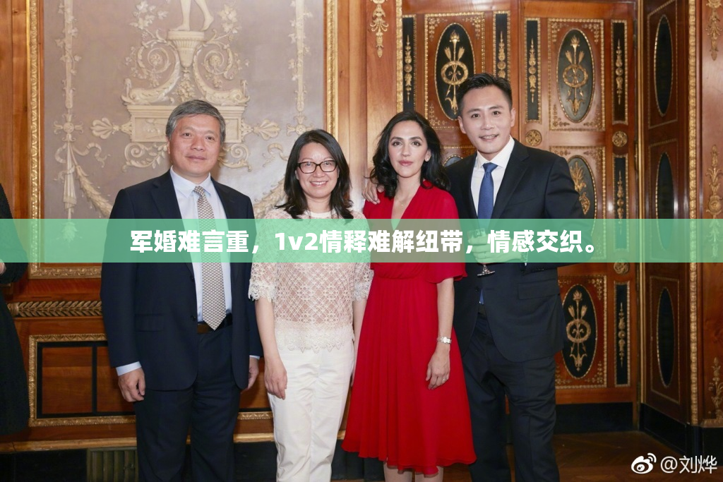 军婚难言重，1v2情释难解纽带，情感交织。