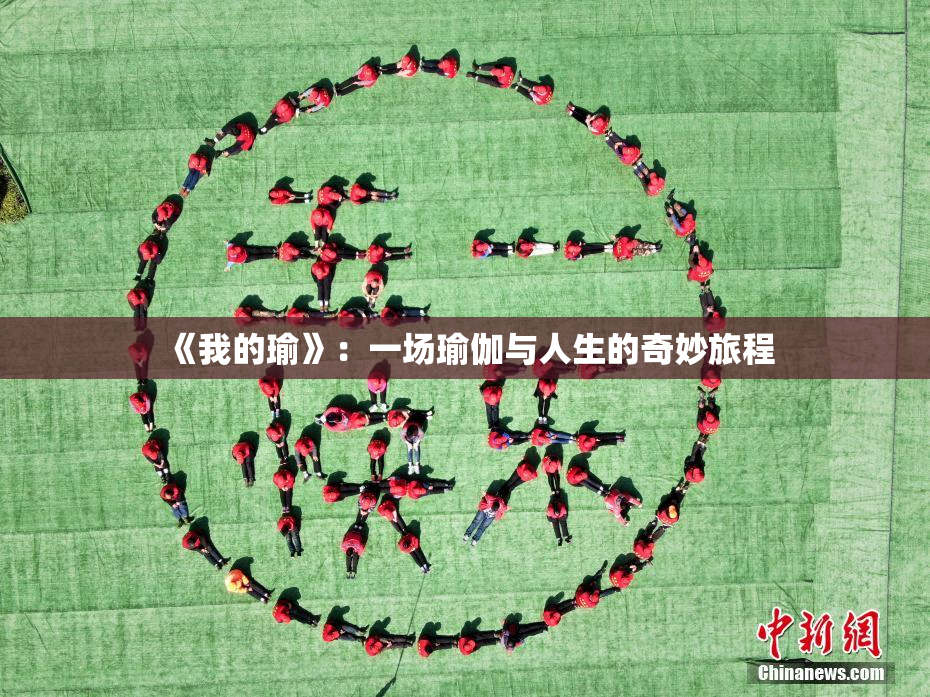 《我的瑜》：一场瑜伽与人生的奇妙旅程