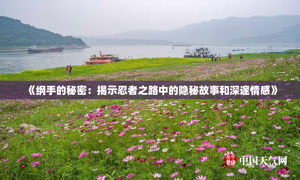 《纲手的秘密：揭示忍者之路中的隐秘故事和深邃情感》