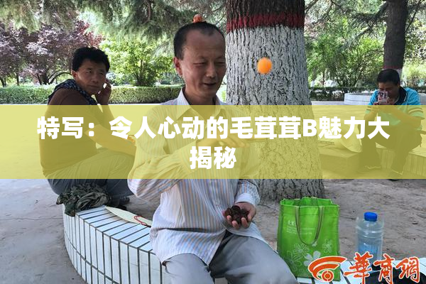 特写：令人心动的毛茸茸B魅力大揭秘