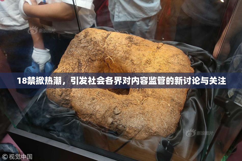 18禁掀热潮，引发社会各界对内容监管的新讨论与关注