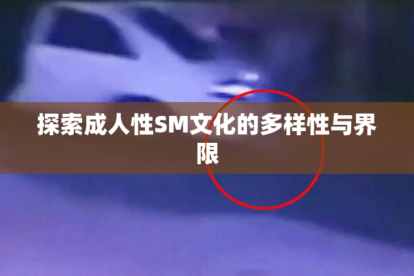 探索成人性SM文化的多样性与界限