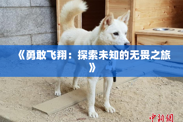 《勇敢飞翔：探索未知的无畏之旅》
