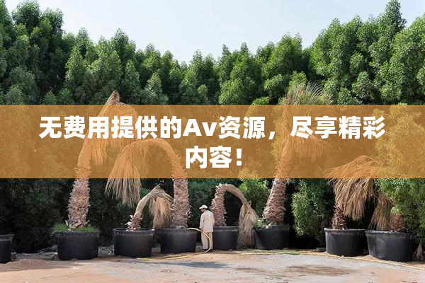 无费用提供的Av资源，尽享精彩内容！