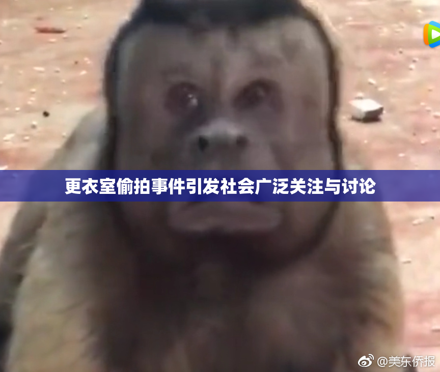 更衣室偷拍事件引发社会广泛关注与讨论