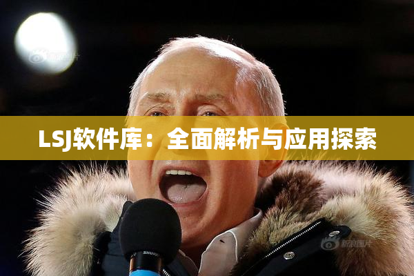LSJ软件库：全面解析与应用探索
