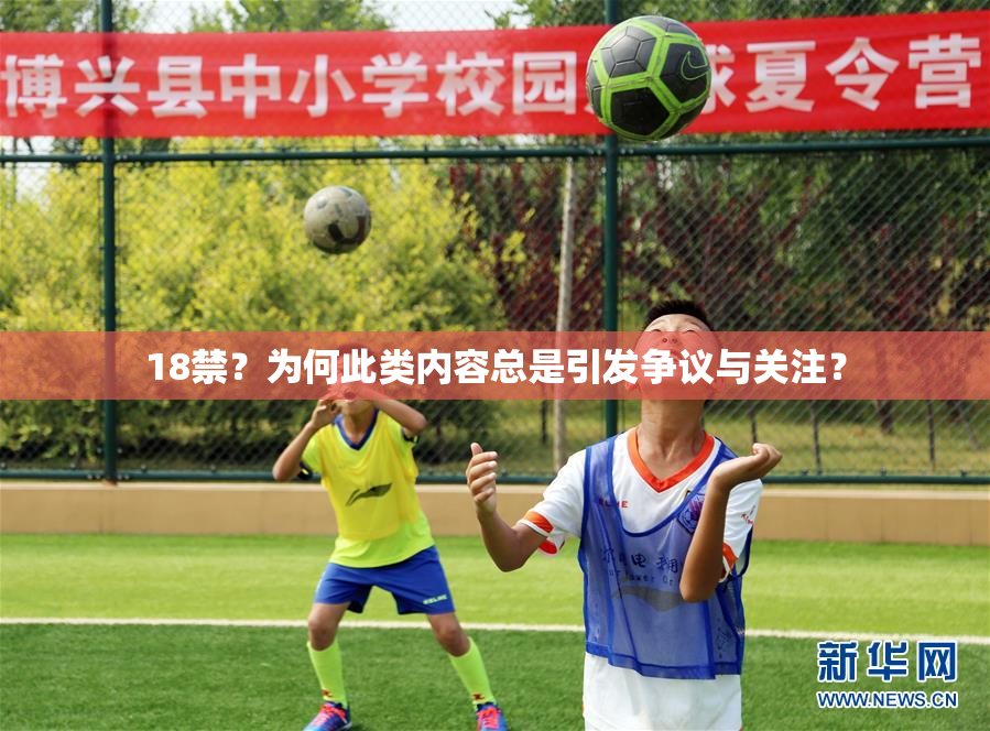 18禁？为何此类内容总是引发争议与关注？