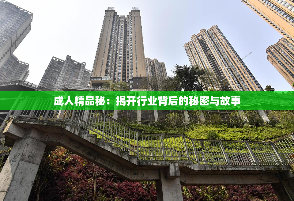 成人精品秘：揭开行业背后的秘密与故事