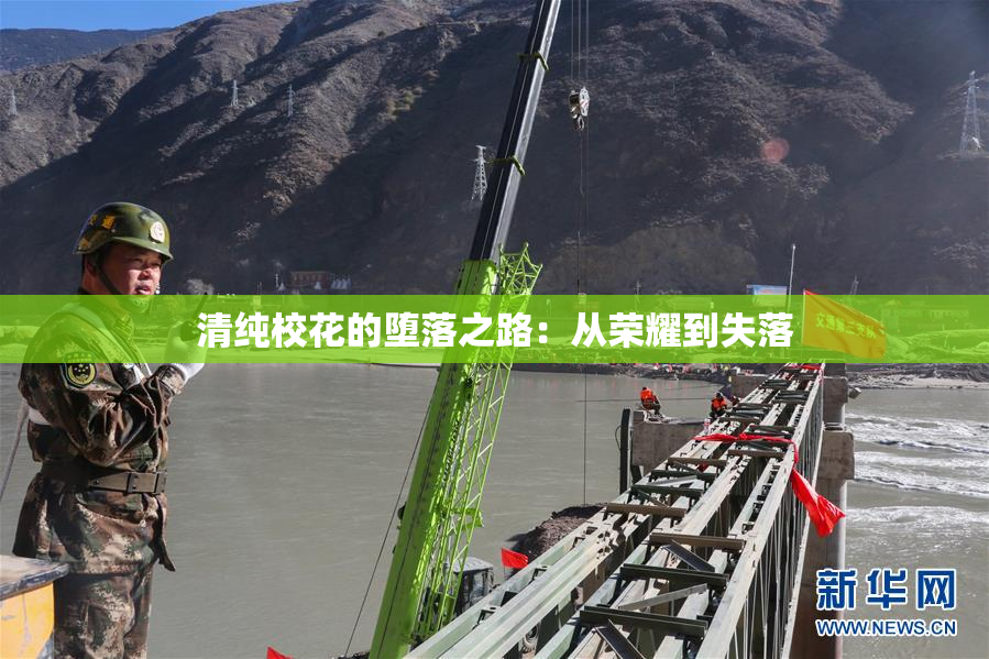 清纯校花的堕落之路：从荣耀到失落