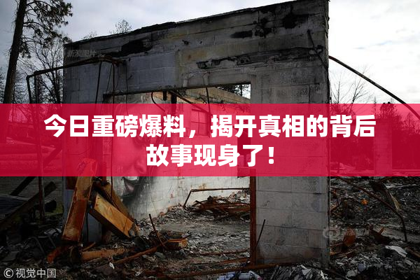 今日重磅爆料，揭开真相的背后故事现身了！