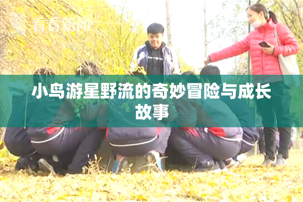 小鸟游星野流的奇妙冒险与成长故事