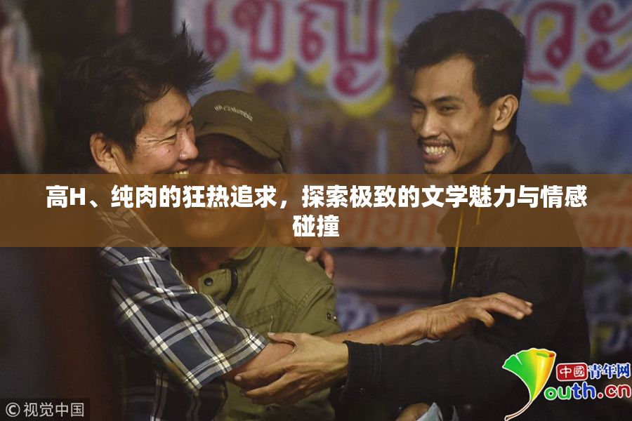 高H、纯肉的狂热追求，探索极致的文学魅力与情感碰撞