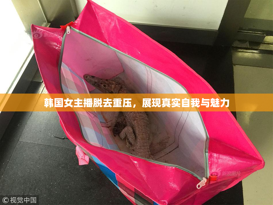 韩国女主播脱去重压，展现真实自我与魅力