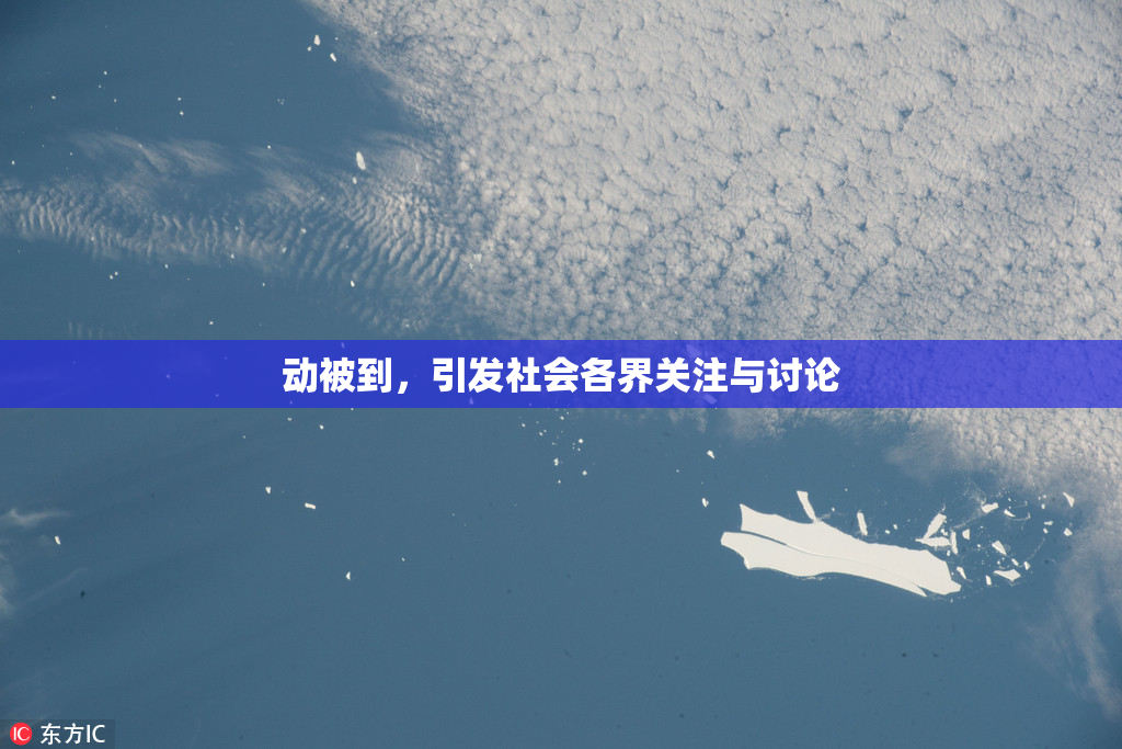 动被到，引发社会各界关注与讨论
