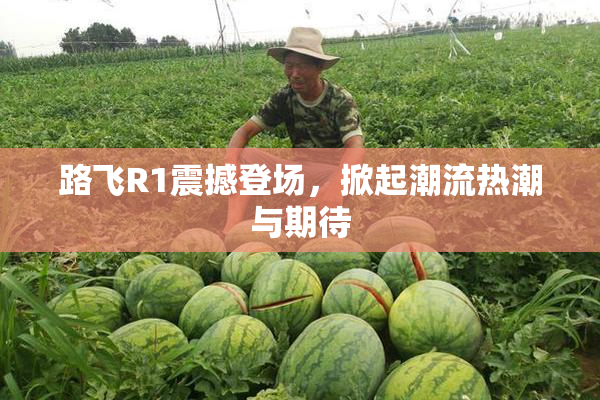 路飞R1震撼登场，掀起潮流热潮与期待