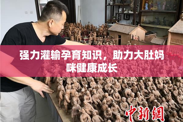 强力灌输孕育知识，助力大肚妈咪健康成长