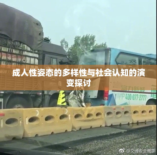 成人性姿态的多样性与社会认知的演变探讨