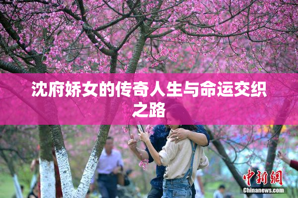 沈府娇女的传奇人生与命运交织之路