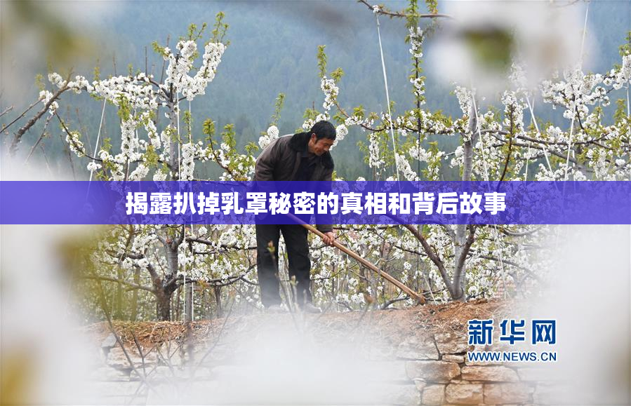 揭露扒掉乳罩秘密的真相和背后故事