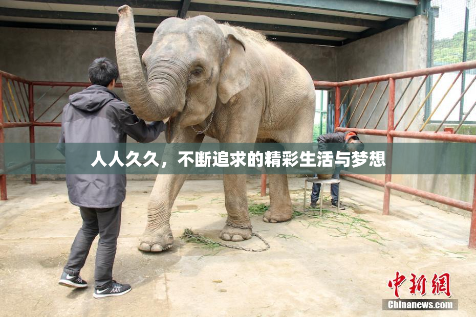 人人久久，不断追求的精彩生活与梦想