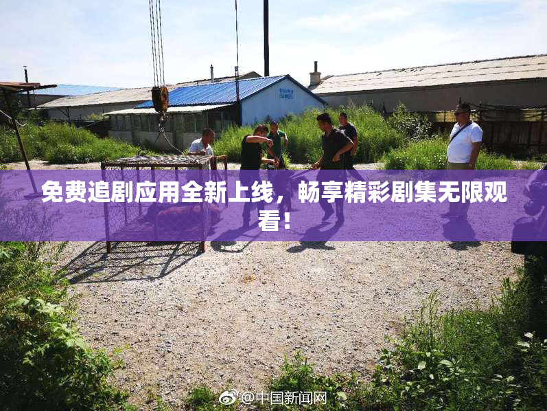 免费追剧应用全新上线，畅享精彩剧集无限观看！