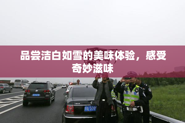 品尝洁白如雪的美味体验，感受奇妙滋味