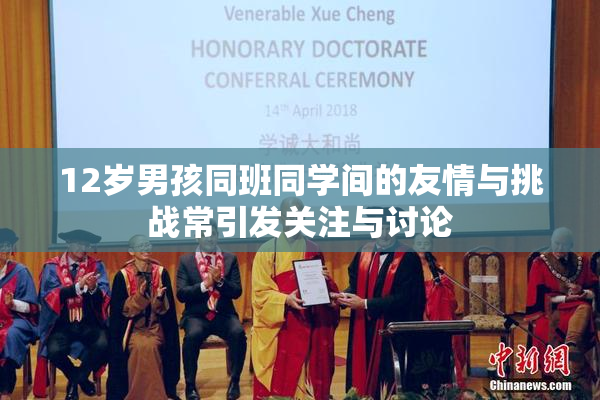 12岁男孩同班同学间的友情与挑战常引发关注与讨论