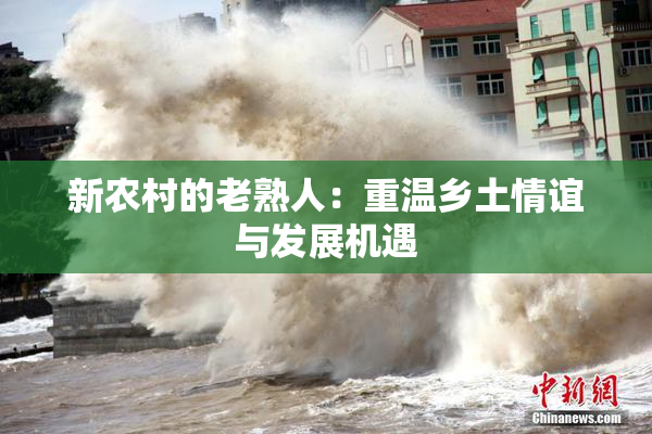 新农村的老熟人：重温乡土情谊与发展机遇