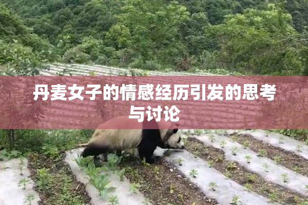 丹麦女子的情感经历引发的思考与讨论