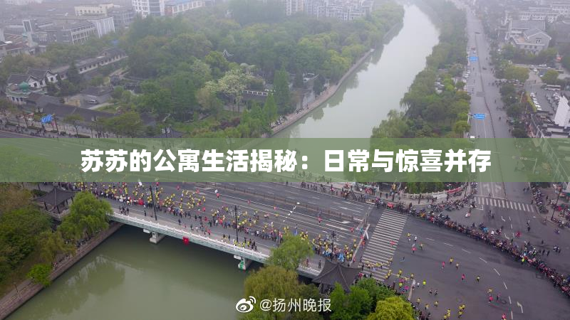 苏苏的公寓生活揭秘：日常与惊喜并存