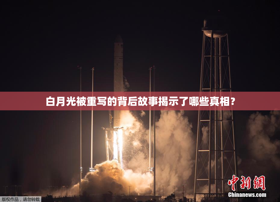 白月光被重写的背后故事揭示了哪些真相？