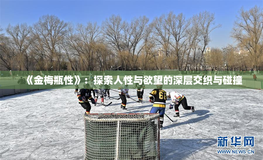《金梅瓶性》：探索人性与欲望的深层交织与碰撞