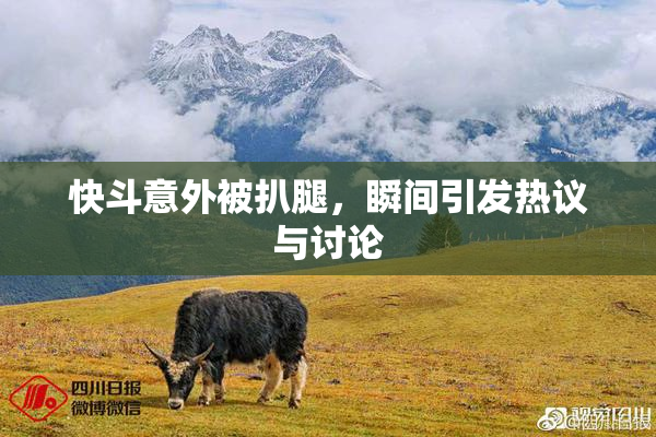 快斗意外被扒腿，瞬间引发热议与讨论