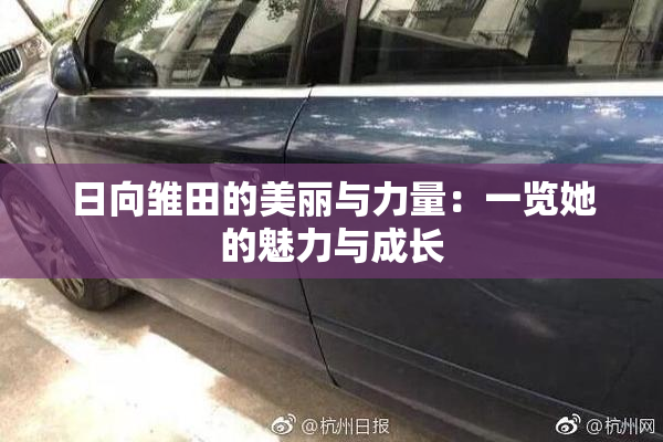 日向雏田的美丽与力量：一览她的魅力与成长