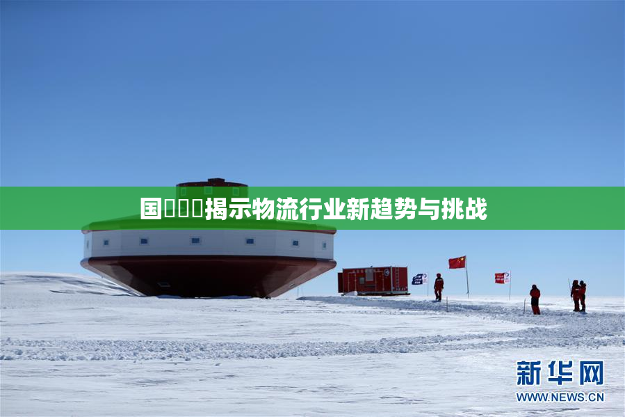 国產梱綁揭示物流行业新趋势与挑战